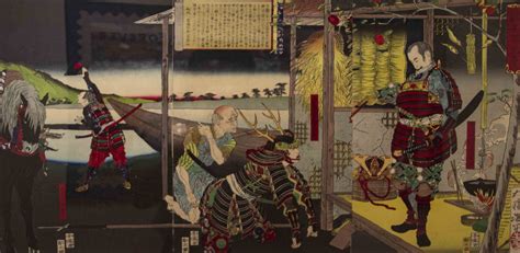 sengoku shidai|how old is sengoku.